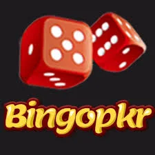 bingo pkr